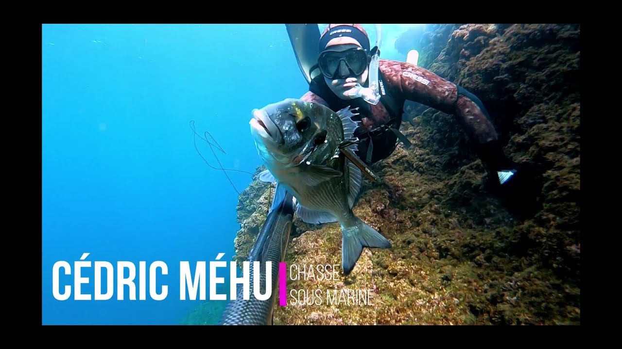 CHASSE SOUS MARINE À MORGIOU ET GRAND NETTOYAGE (EN 2 PARTIES)