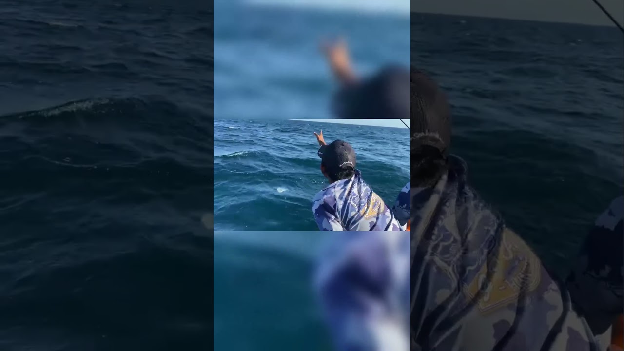 Golden Trevally Strike || Fishing In Bali 