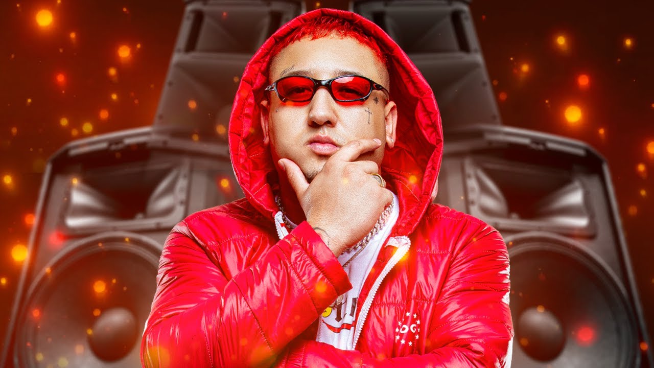 DJ WILL DF Ft. MC Denny, MC Mari e MC PR - Ela T&aacute; Querendo Sexo - To com Saudade de Voce