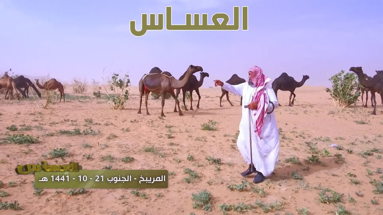 برنامج العساس | المريبخ - الجنوب 221-10-1441 هـ