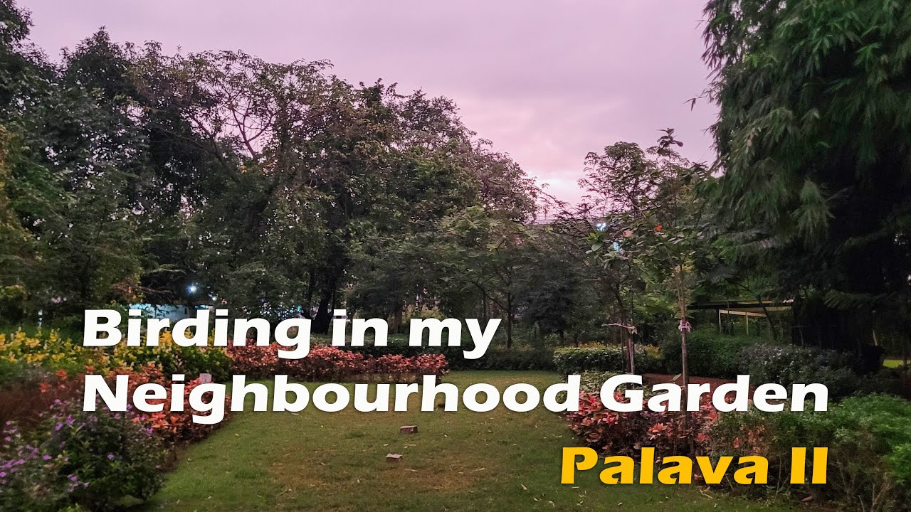 Open Park Serenity Palava