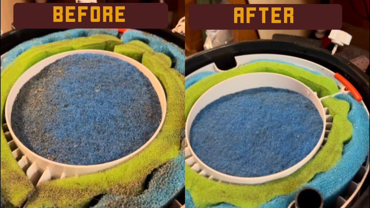 How to clean a fluval FX4 - 4+ months - FX4 canister filter ￼
