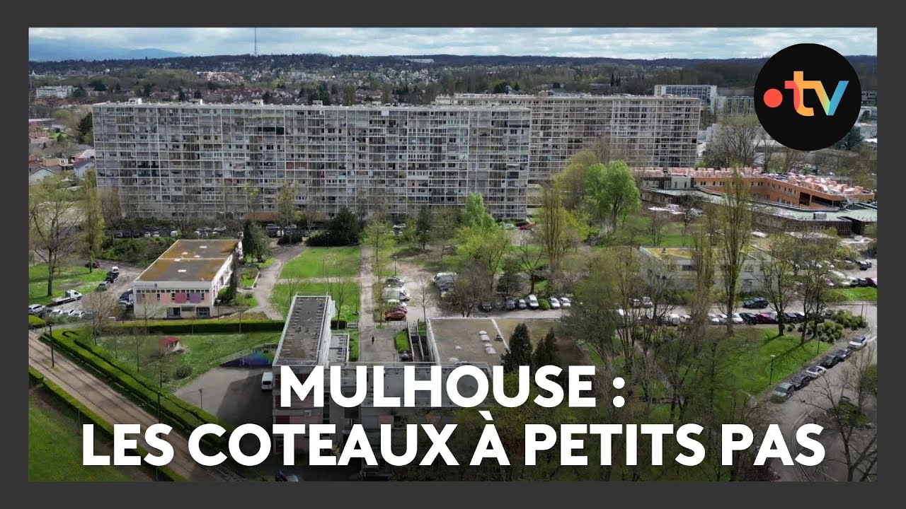 Un lieu, des histoires à Mulhouse : les Coteaux à petits pas - Episode 2/4