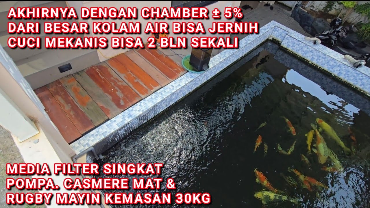 KOLAM KOI CHAMBER KECIL DENGAN MEDIA FILTER CHASMERE MAT & RUGBY MAYIN KEMASAN 30 KG AIR BISA JERNIH