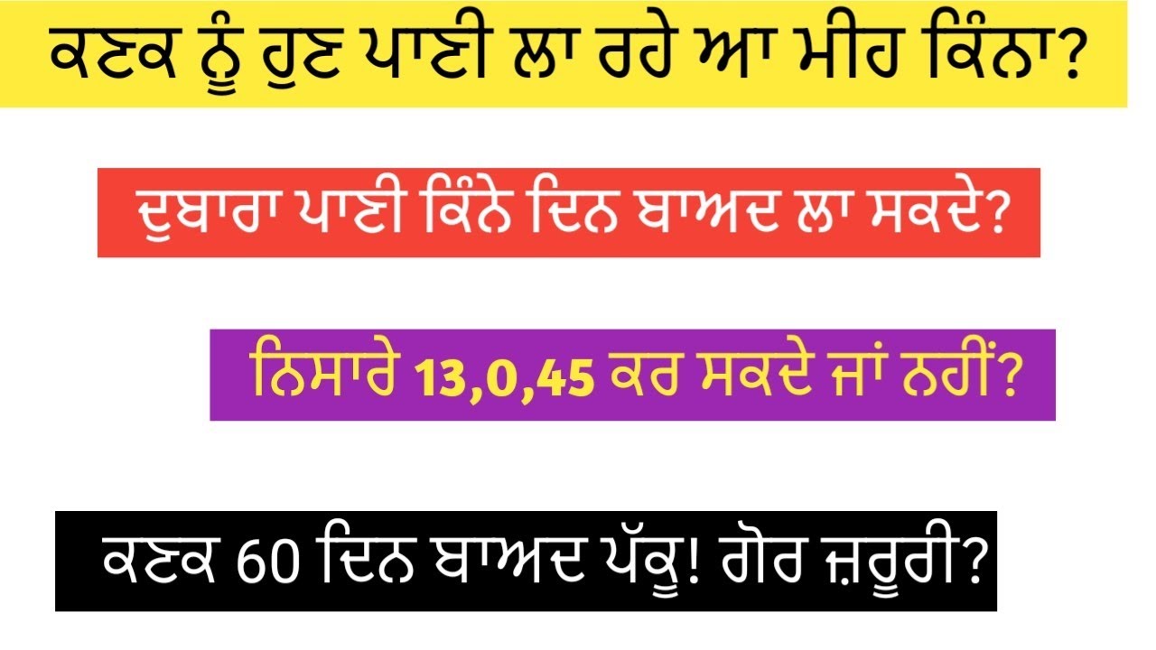 ਕਣਕ ਨੂੰ ਪਾਣੀ ਲਾ ਰਹੇ ਕਿੰਨੇ ਦਿਨ ਬਾਅਦ ਰੀਪੀਟ ਕਰਨਾ ਚਾਹੀਦਾ! ਮੀਹ ਕਿੰਨਾ ਪਵੇਗਾ?
