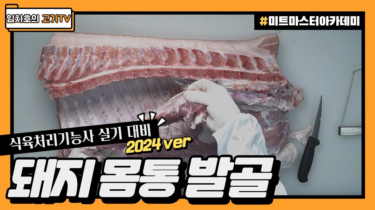 2024 식육처리기능사 실기대비 _ 돼지 몸통 발골 (우측) _ 3