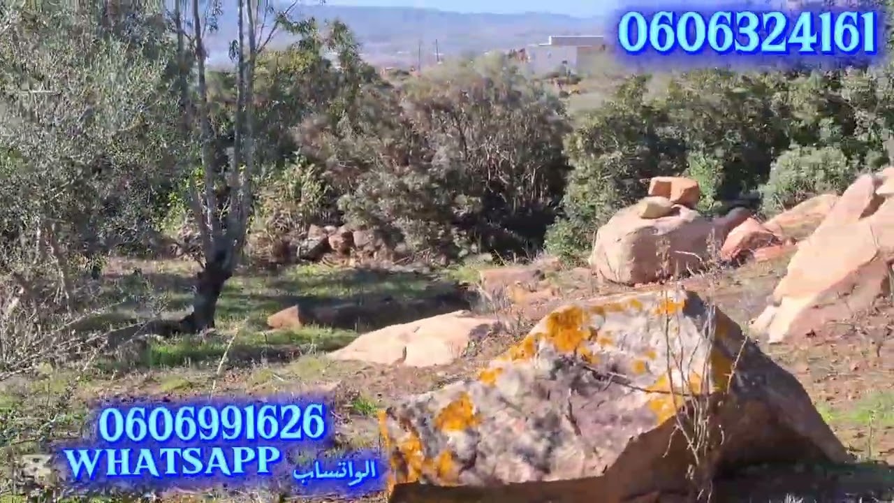 قطعة ارضيه ملكية 8000متر فيها ديور بلدين و الأشجار واصلا الماء الضوء والطريق بين طنجة وتطوان (حكامة)