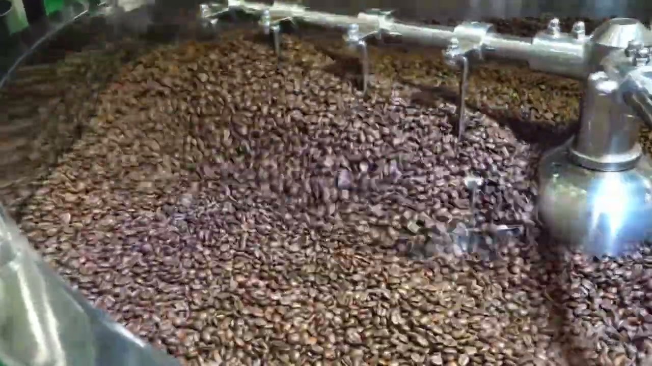 Hoi An Roastery - Coffee process 2023 #hoianroastery #vietnamcoffee