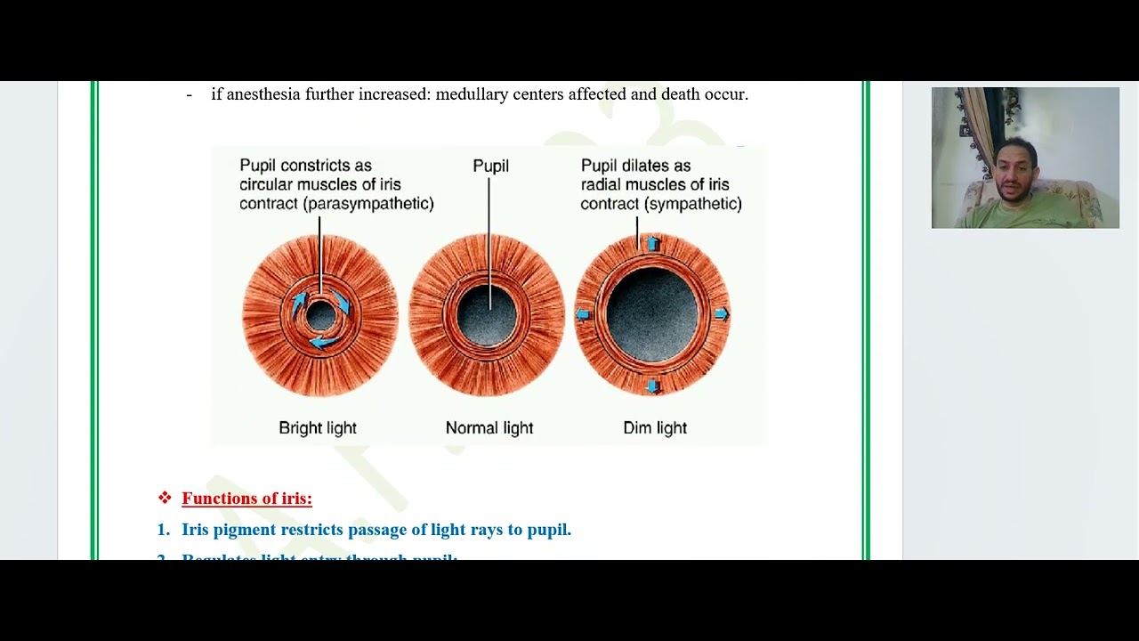 last minute vision by Dr. Fawzy