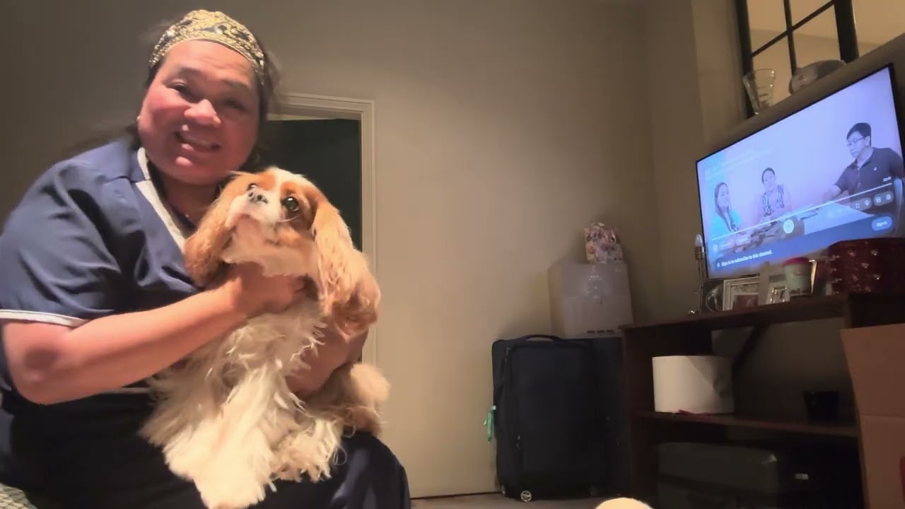 Пиппа и Лола, я вас обеих люблю 🐶
