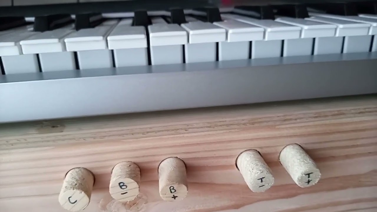 Come costruire un Organo (Rosetto)