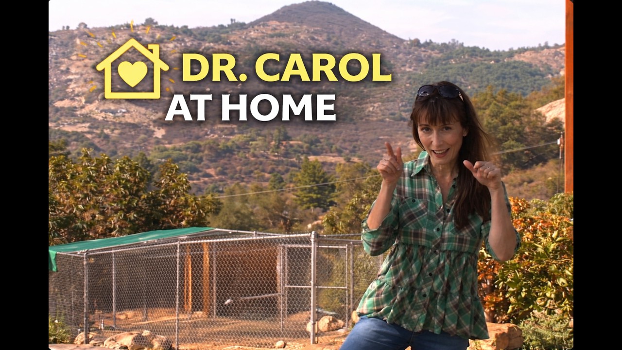 Dr  Carol Welcome to YouTube channel