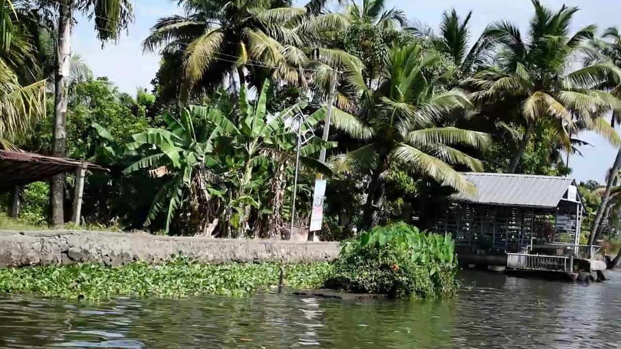 Alleppey backwater boat riding in Kerala