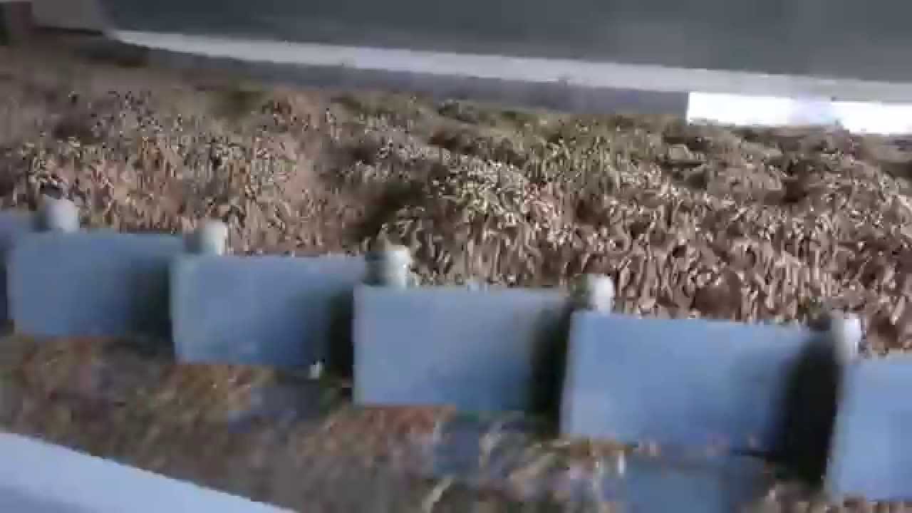 Čištění obilí pneumatický stůl GA CIMBRIA HEID Getreide sortierung Gewichtsausleser wheat sorting