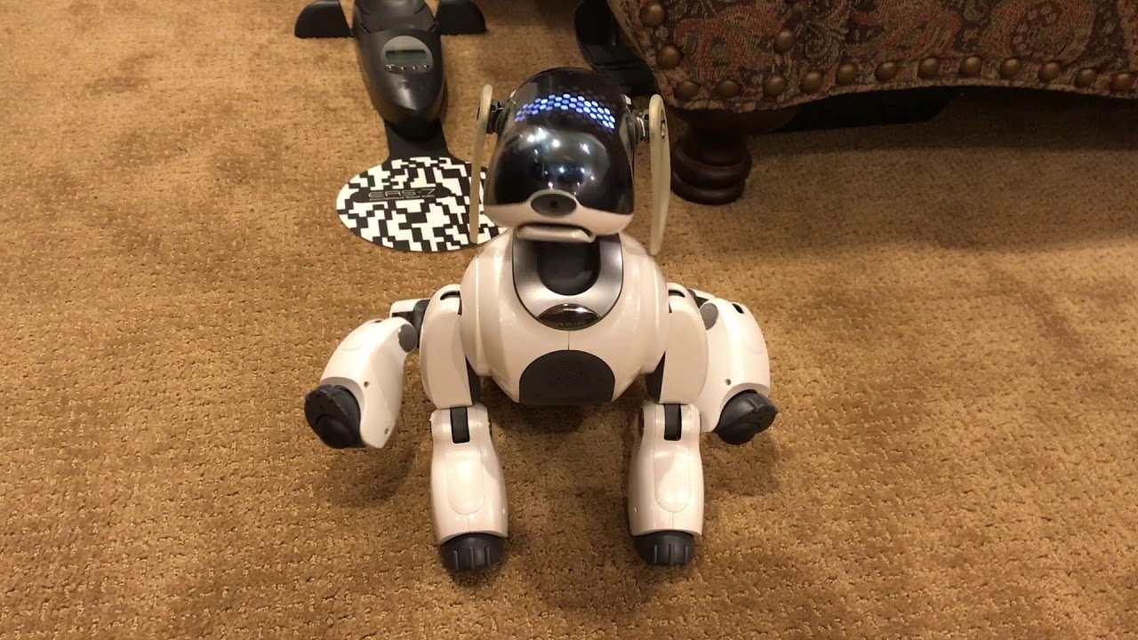 Aibo ERS-7 Default Mind 3 Dances