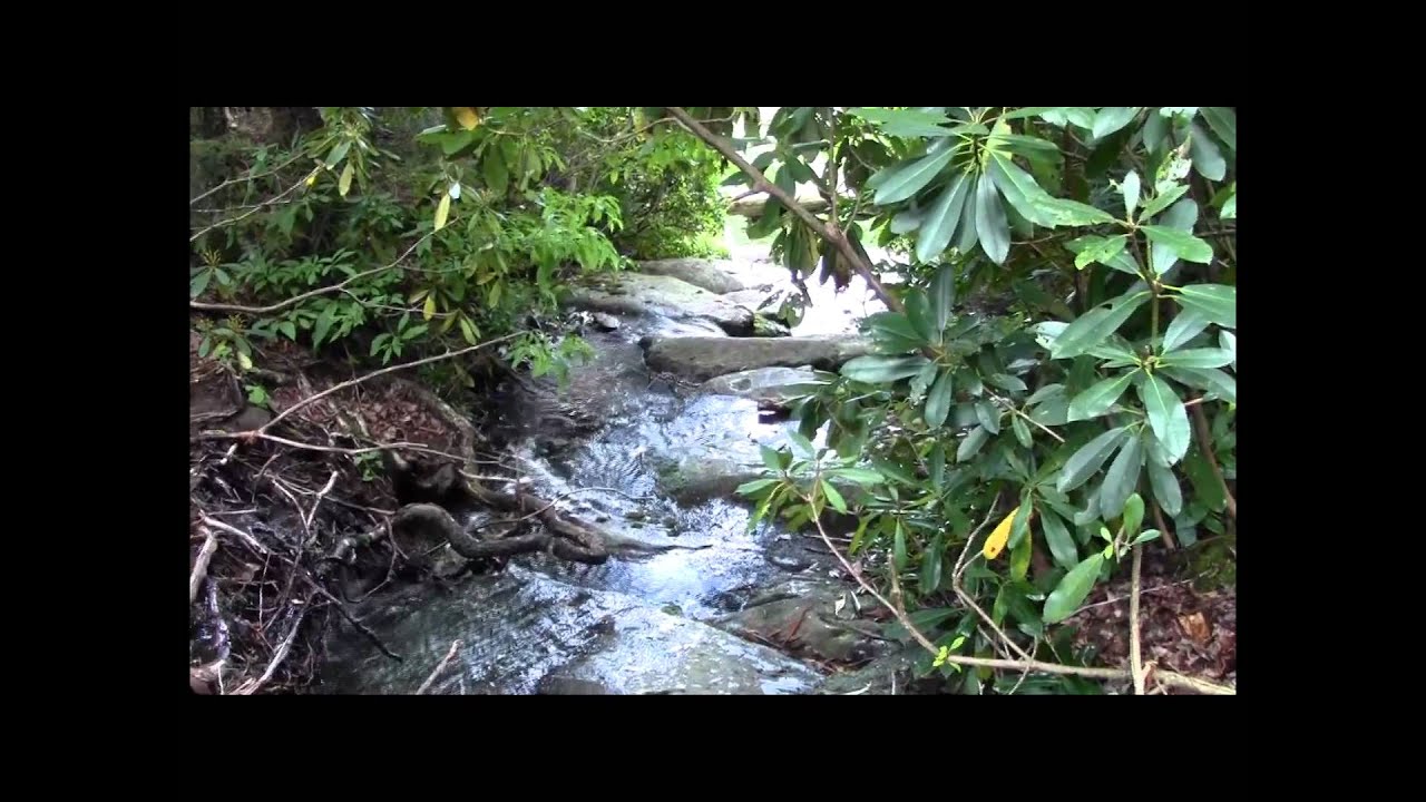 Black Mountain Campground to Mt Mitchell Hike