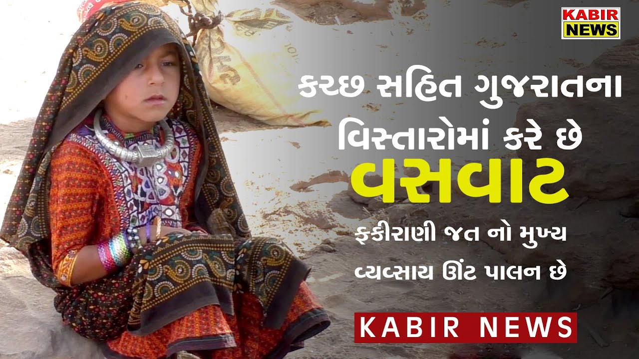 #kutch  કચ્છ સહિત ગુજરાતના વિસ્તારોમાં કરે છે વસવાટ, ફકીરાણી જત નો મુખ્ય વ્યવ્સાય ઊંટ પાલન છે