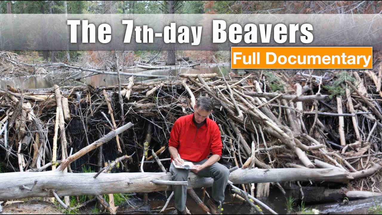 Saturday Sabbath RESTING Beavers - Full Documentary