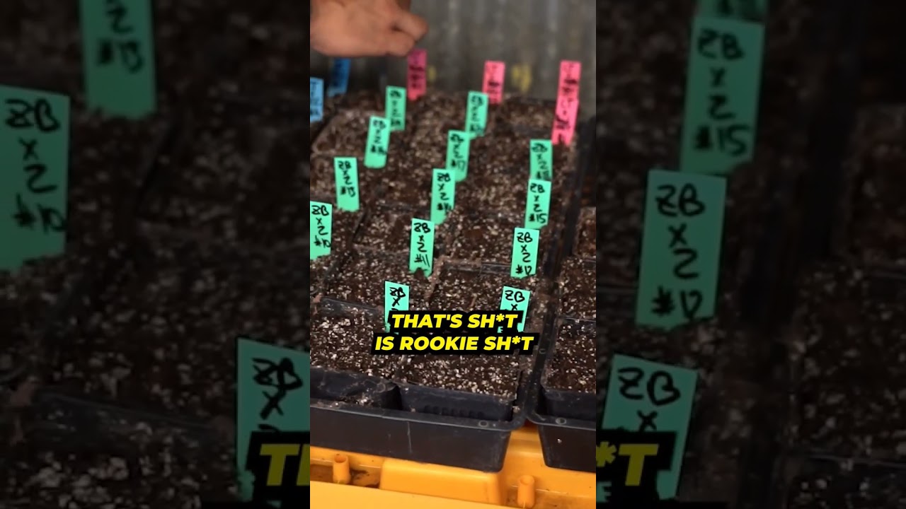 Who wants to grow their own? #fsotd #preferredgardens