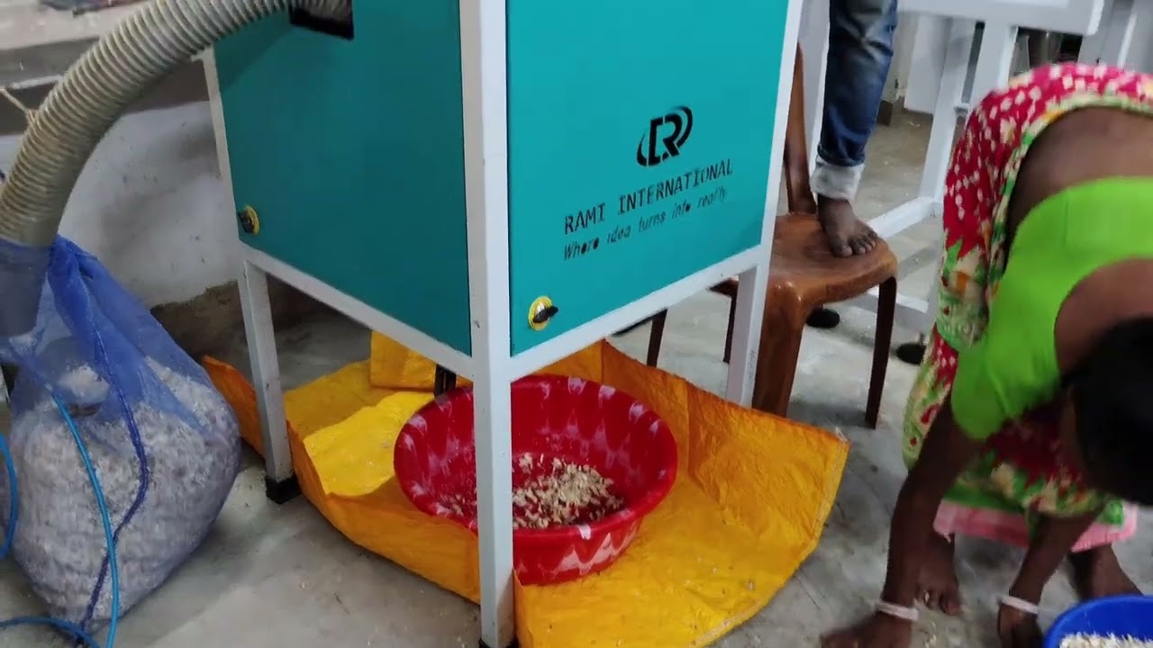 peeled garlic processing | Mark Garlic Colour Sorter | 7003200652