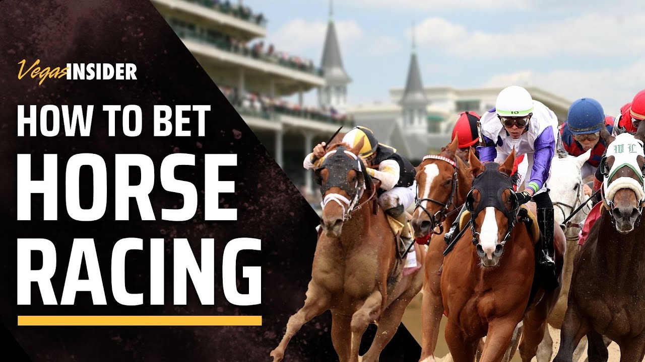 How to Bet Horse Racing | The Ultimate Guide on Betting on Horse Racing