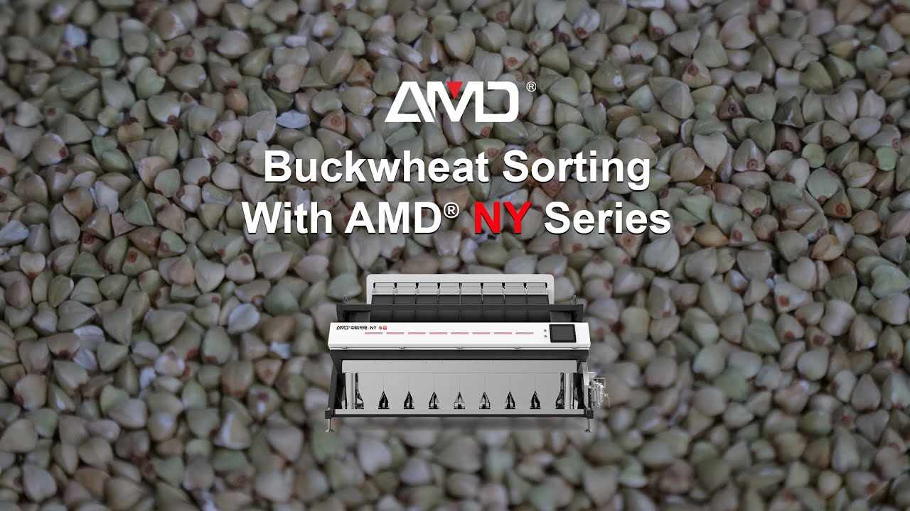 AMD® NY | Buckwheat Color Sorting