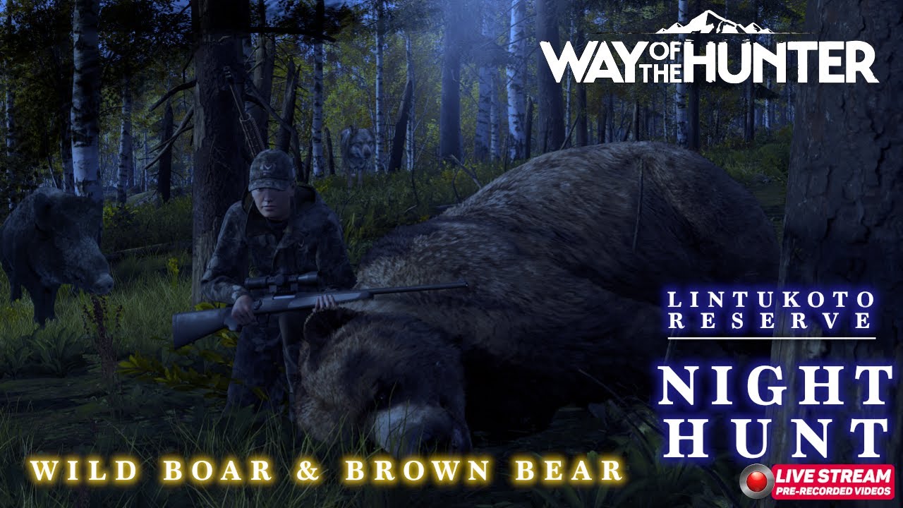 Way of the Hunter | Night Hunt for Brown Bear and Wild Boar | 4K Gameplay