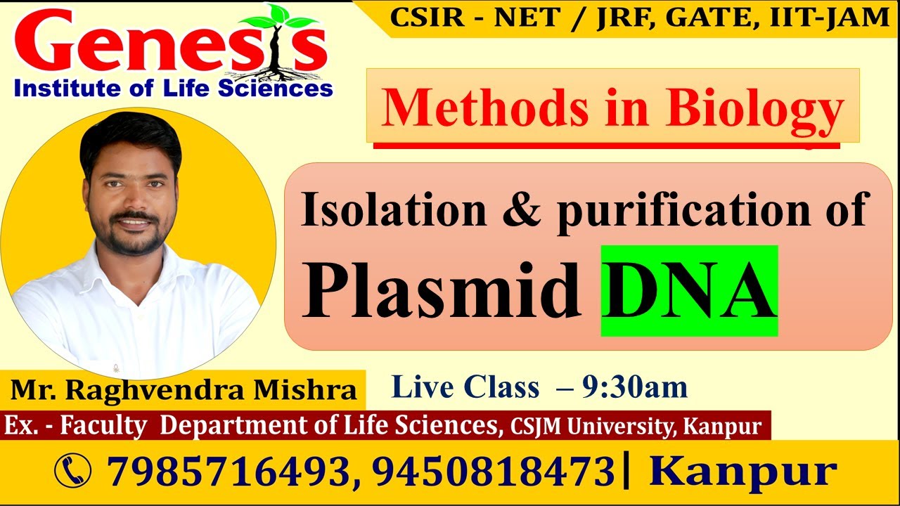 Isolation and purification of Plasmid DNA |Methods in Biology|𝐂𝐒𝐈𝐑-𝐍𝐄𝐓/𝐉𝐑𝐅 𝐋𝐢𝐟𝐞 𝐒𝐜𝐢𝐞𝐧𝐜𝐞𝐬|𝐃𝐁𝐓-𝐉𝐑𝐅|