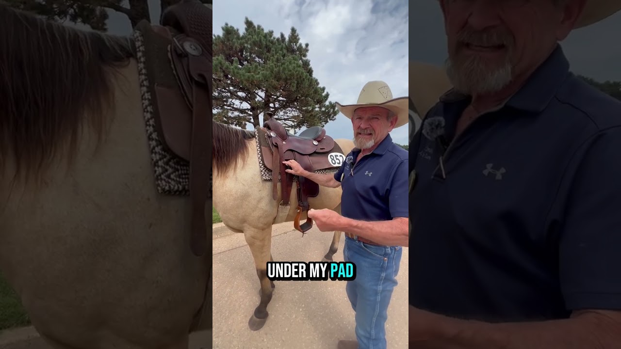 Master saddler & WDAA board member emeritus Mike Corcoran takes us through the basics of saddle fit!