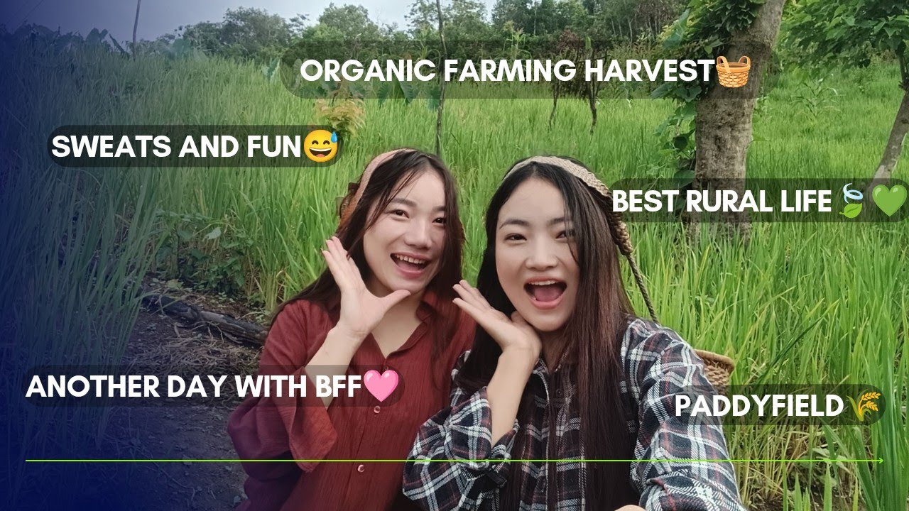 Unfiltered field fun💚🌻🍃| Friends, Good food, Good vibes, sweats and laughter🩷🌸| Hills of Nagaland|