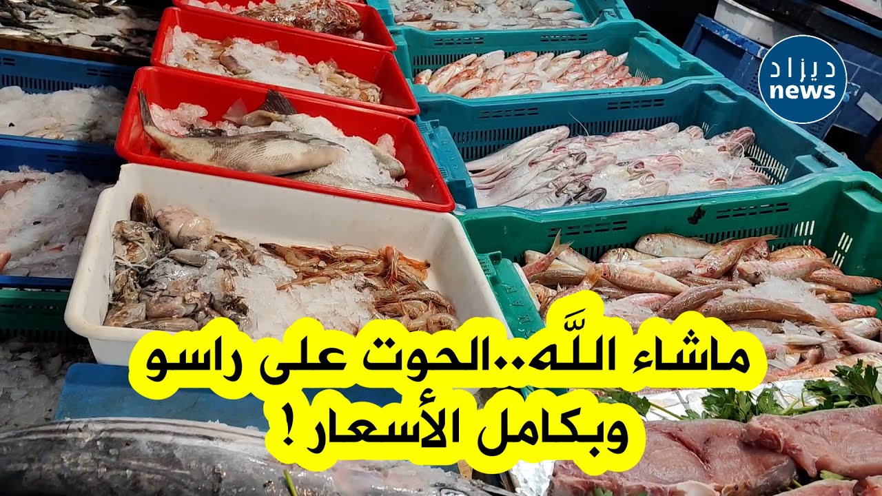 كاميرا ديزاد نيوز ترصد لكم أسعار مختلف أنواع الأسماك من سوق لاباستي بوهران...