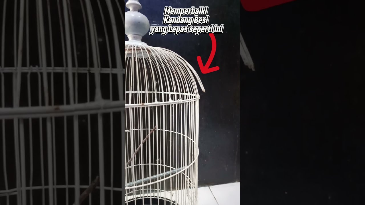 Cara Memperbaiki Ruji Sangkar Besi yang sudah Lepas