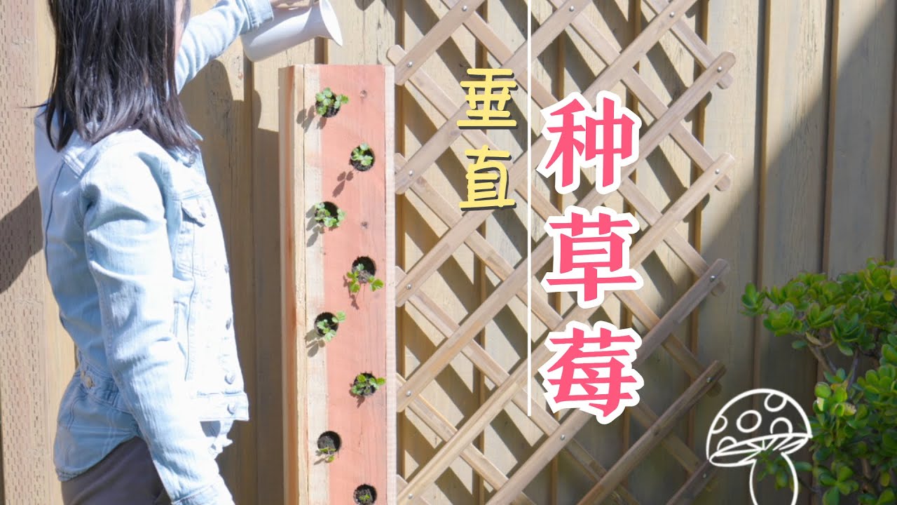 垂直种草莓(1)：如何制作 垂直草莓塔，实现小空间 大利用｜DIY Strawberry Vertical Planter