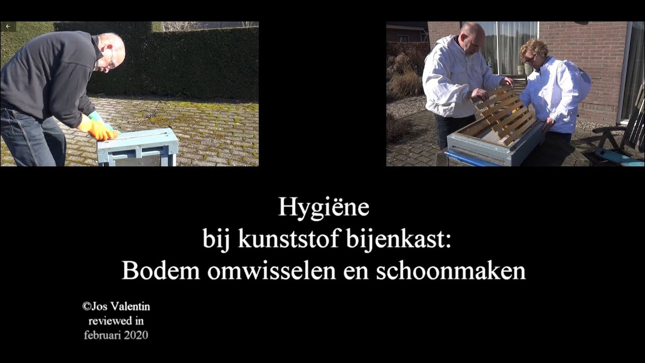 Bodem kunststof bijenkast verwisselen: nodig voor de hygiëne van een bijenvolk (versie 2.0)