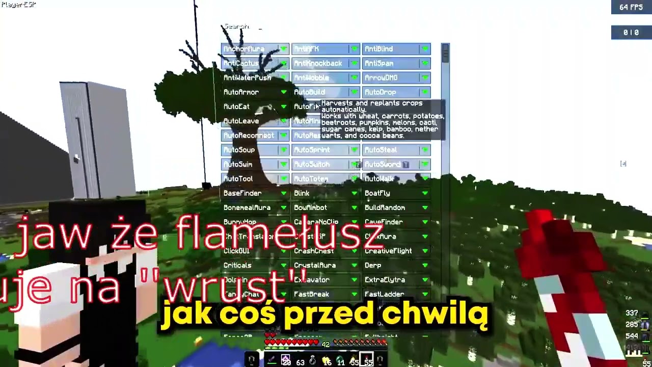 dow&oacute;d na to że Flameusz cheatuje na Anarchi SMP 