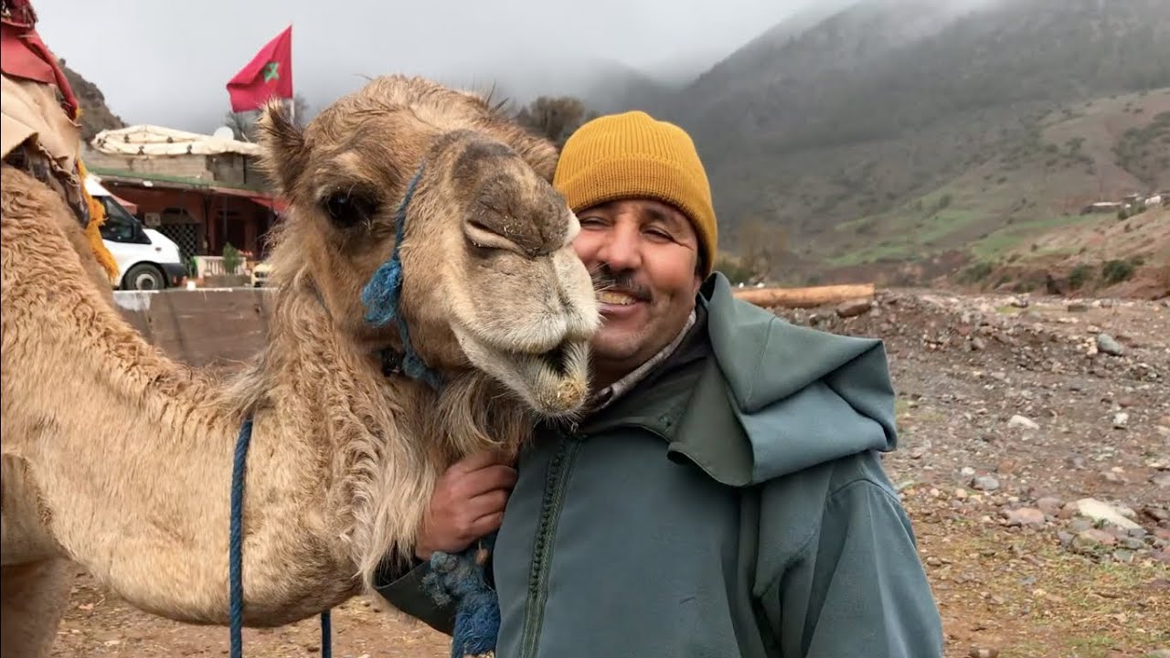 🐫 Journey through the Atlas Mountains of Morocco 🇲🇦