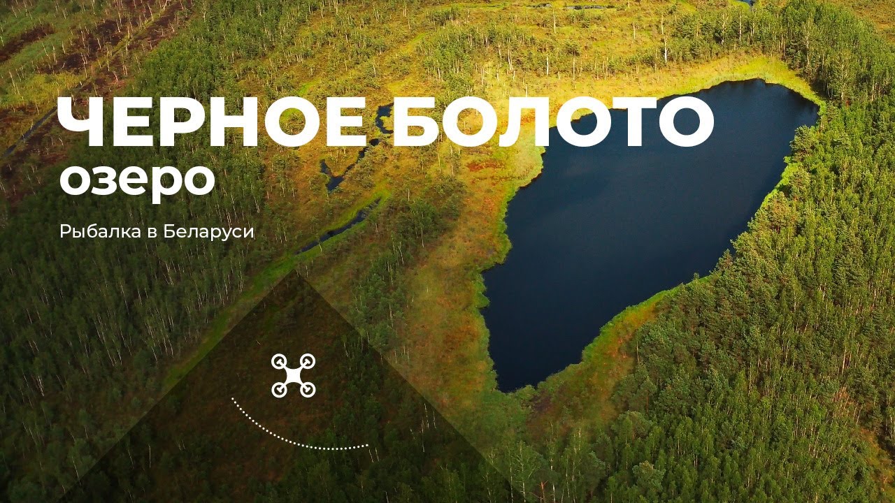 Озеро Черное Болото (Шумилинский район)