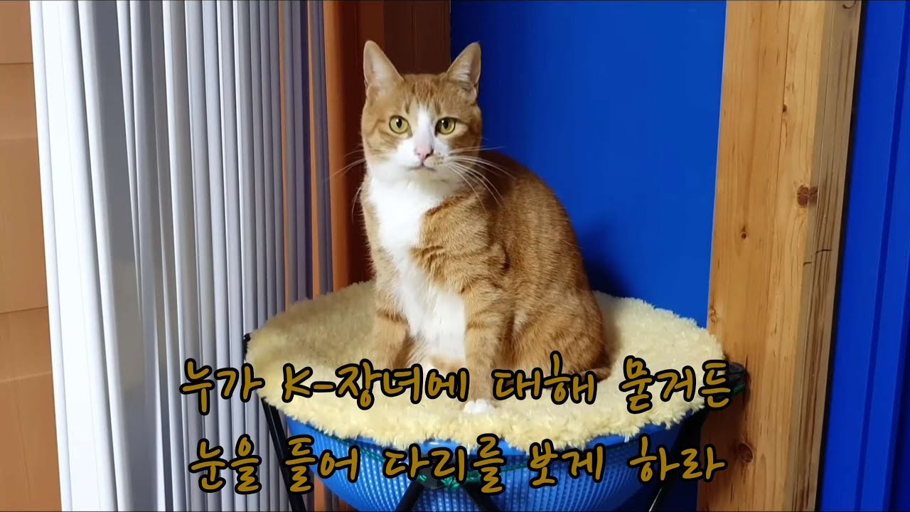입문자를 위한 가이드: 다리  @Metalnam 