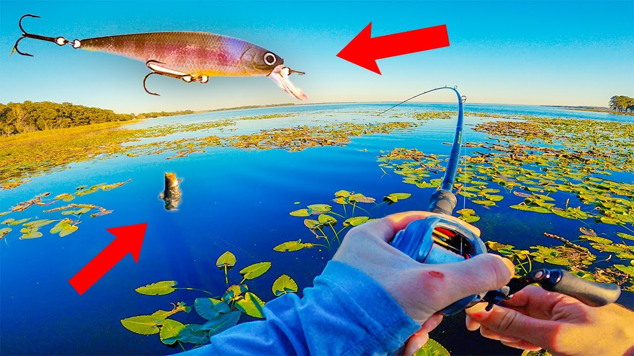 Targeting Florida PreSpawn Bass【01, 02】