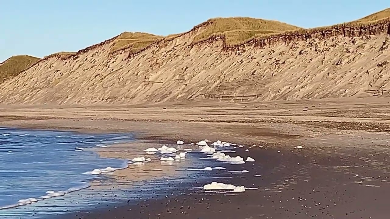Denmark: On The West Coast Of Denmark                                               26.December 2025