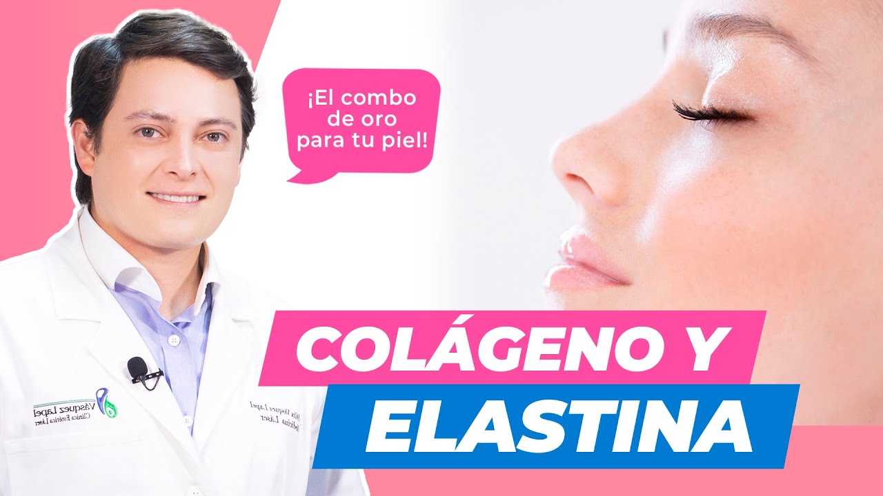Todo sobre el colágeno y elastina 💗 Conoce más sobre estas proteínas para la salud de tu piel