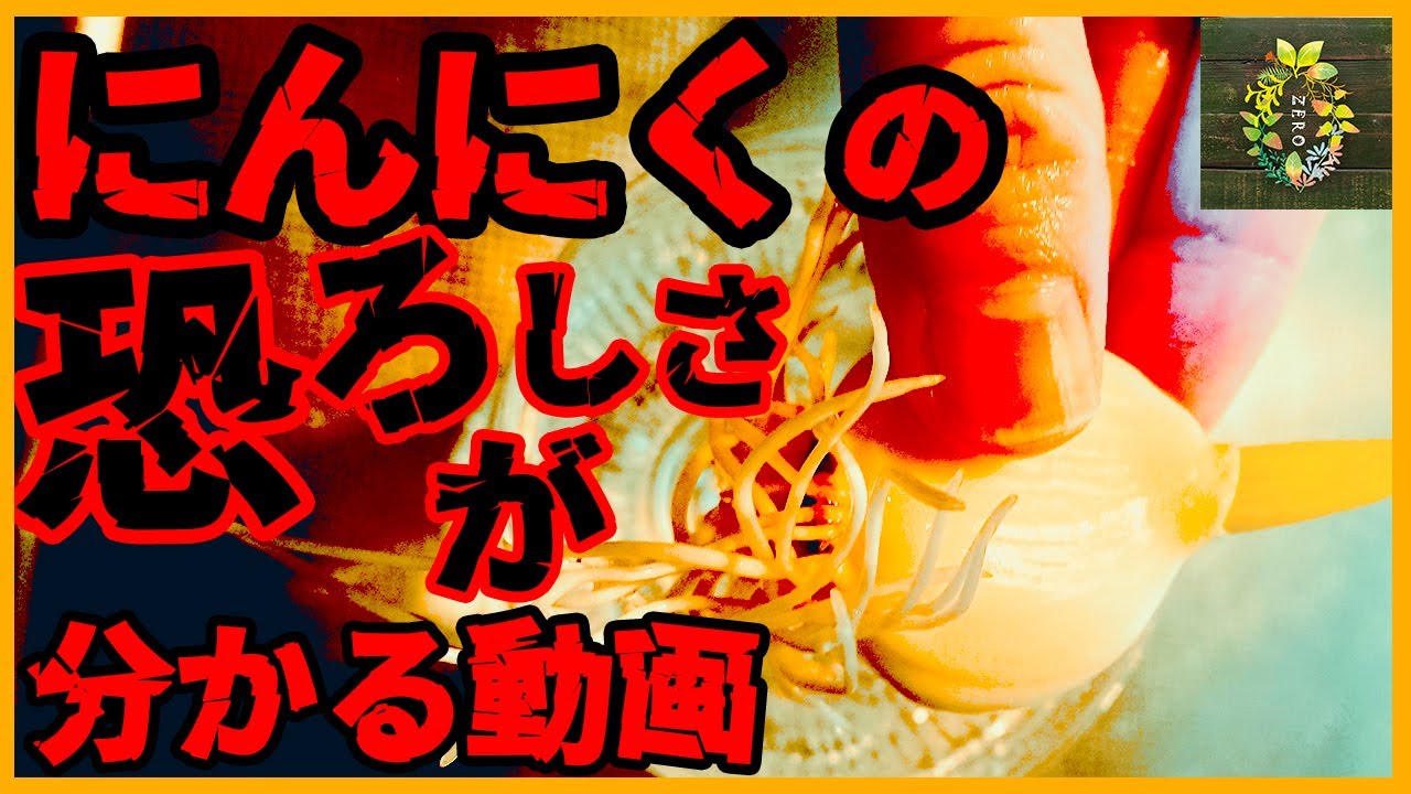 【閲覧注意】スーパーのニンニクが一晩でエグいことになった【再生栽培】