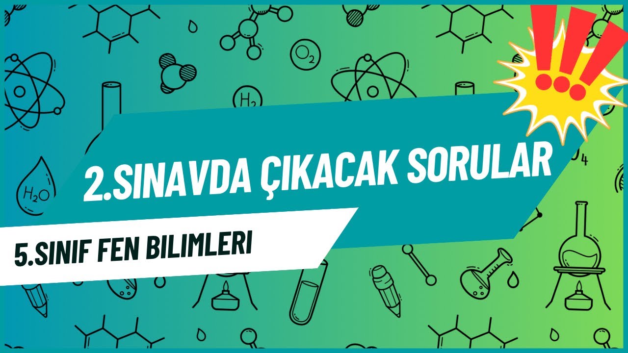 Öğretmenler Bu Soruları Soruyor! | 5. Sınıf Fen Bilimleri 1. Dönem 2. Yazılı
