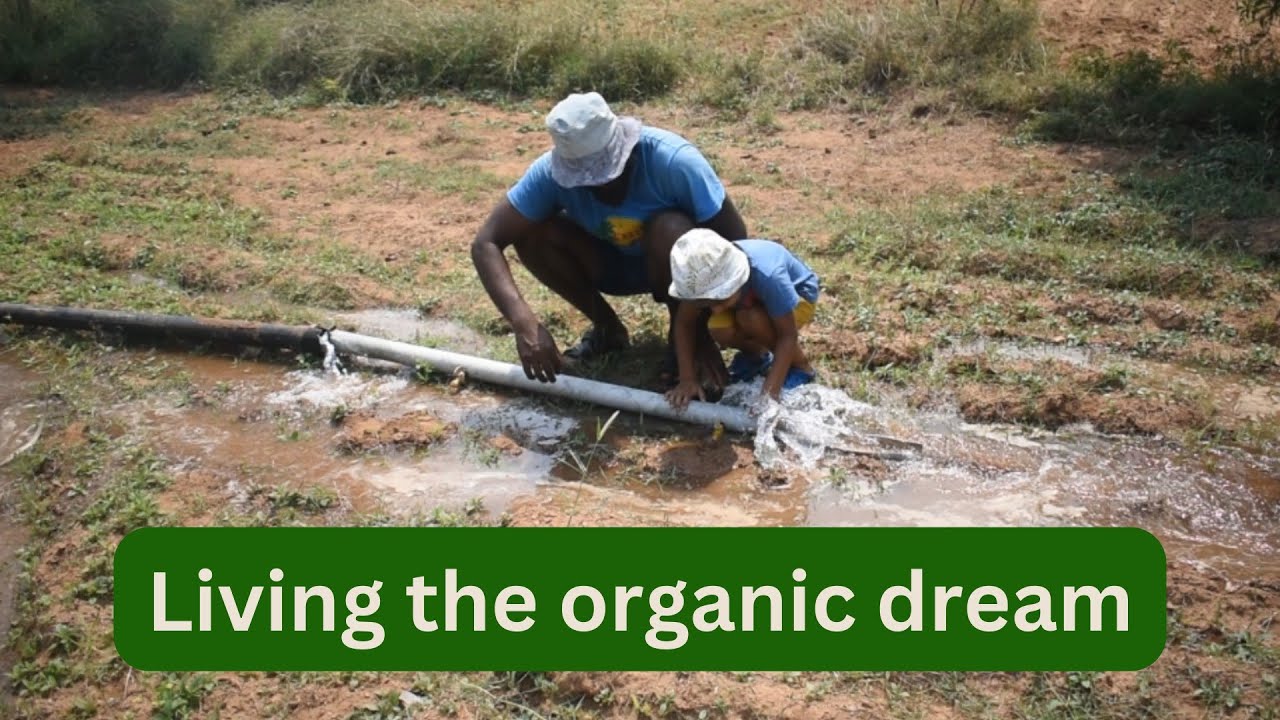 Mastering self sufficiency: organic farming techniques for a slow life