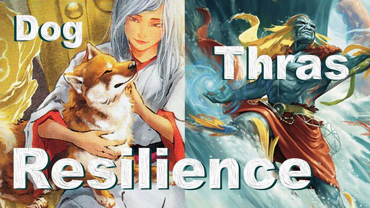 28. Dog Thras Is Pure Resilience - The cEDH Sermon