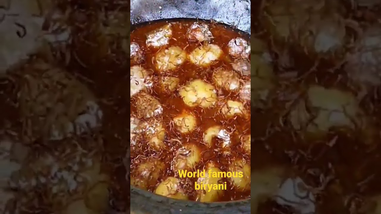 WORLD FAMOUS BIRYANI #streetfood #foodvlog #foodexpress #shyamnagar