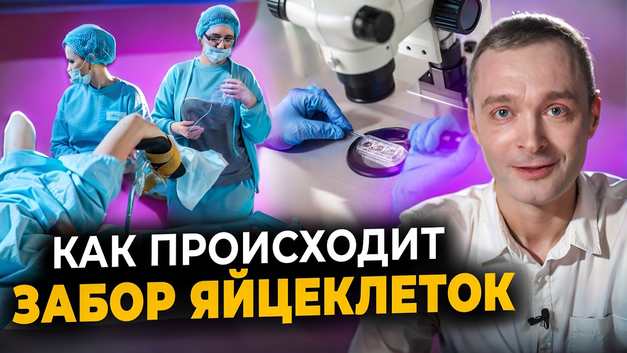 Как проходит ЭКО. Все этапы в одном видео: стимуляция овуляции, пункция фоликулов, перенос эмбрионов