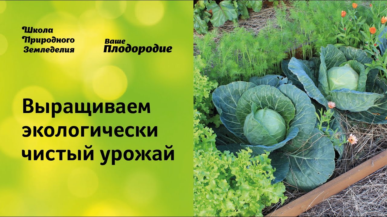 Выращиваем экологически чистый урожай. Защита растений