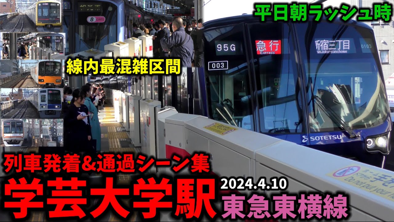 【東横線最混雑区間】学芸大学駅列車発着&通過シーン集[東急東横線,東横線,東急線,東急,朝ラッシュ](2024.4.10)