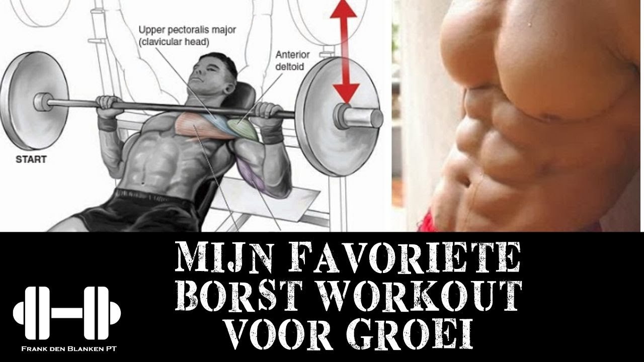 MIJN FAVORIETE BORST WORKOUT VOOR GROEI